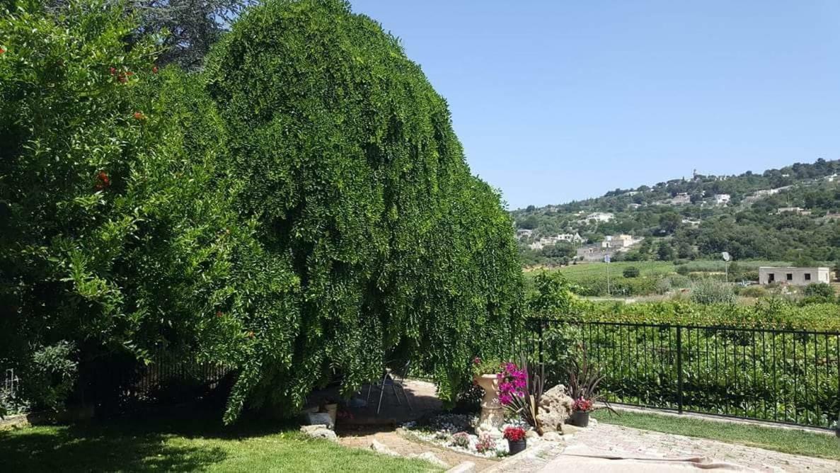 Villa Barone Selva Di Fasano Zewnętrze zdjęcie