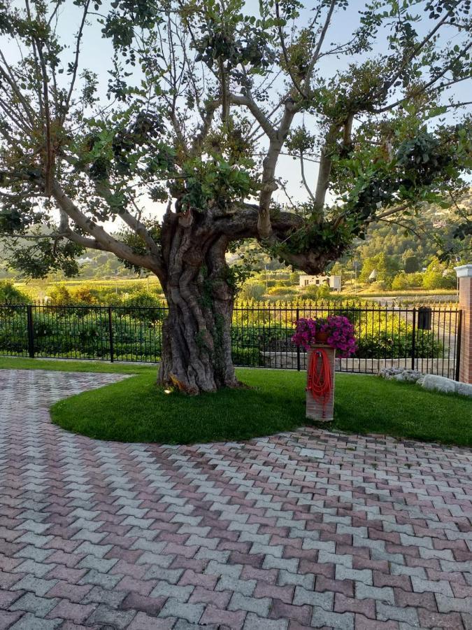 Villa Barone Selva Di Fasano Zewnętrze zdjęcie